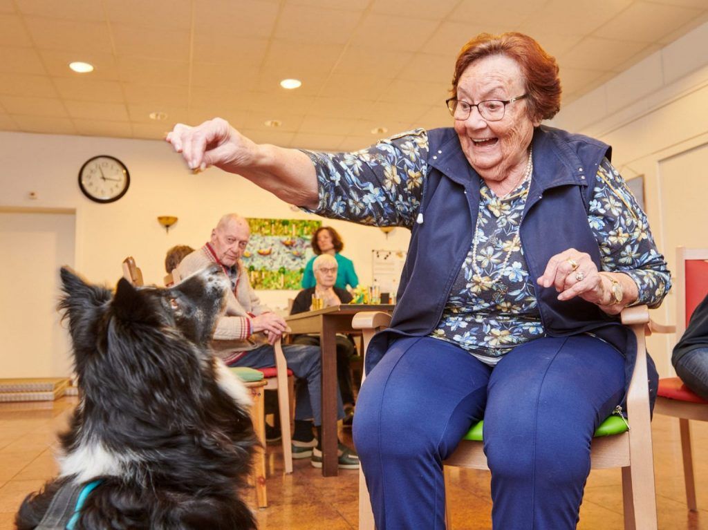 Eine ältere Dame füttert einen Therapiehund.